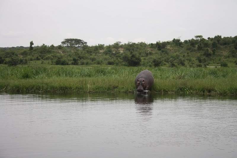 ai1080.photobucket.com_albums_j334_jnunes1977_Uganda_20__20Dia_204_uganda792800x600.jpg