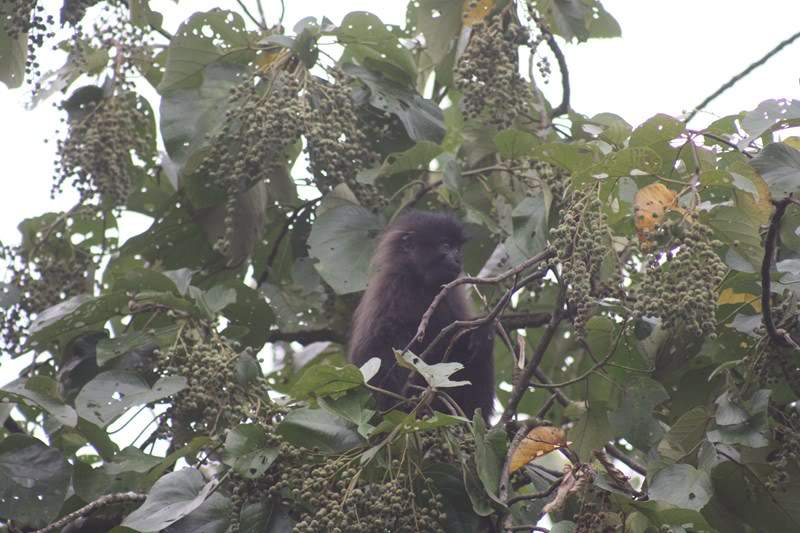 ai1080.photobucket.com_albums_j334_jnunes1977_Uganda_20__20Dia_206_uganda1178800x600.jpg