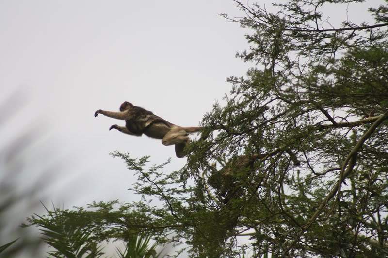 ai1080.photobucket.com_albums_j334_jnunes1977_Uganda_20__20Dia_206_uganda1241800x600.jpg