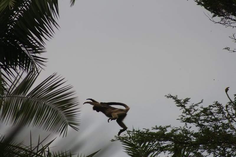 ai1080.photobucket.com_albums_j334_jnunes1977_Uganda_20__20Dia_206_uganda1244800x600.jpg