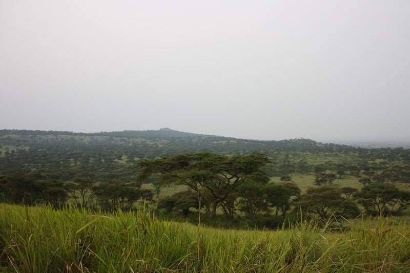 ai1080.photobucket.com_albums_j334_jnunes1977_Uganda_20__20Dia_208_uganda2368800x600.jpg