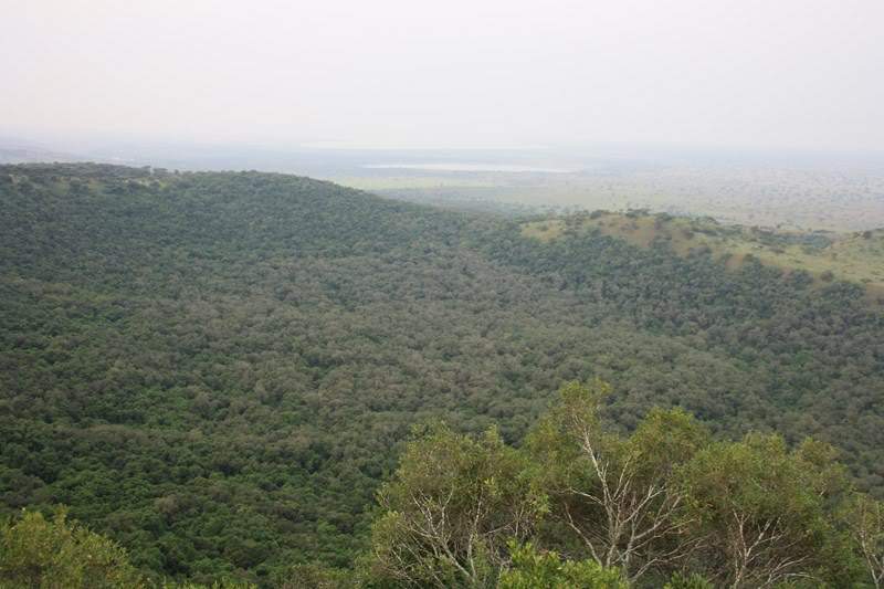 ai1080.photobucket.com_albums_j334_jnunes1977_Uganda_20__20Dia_208_uganda2427800x600.jpg