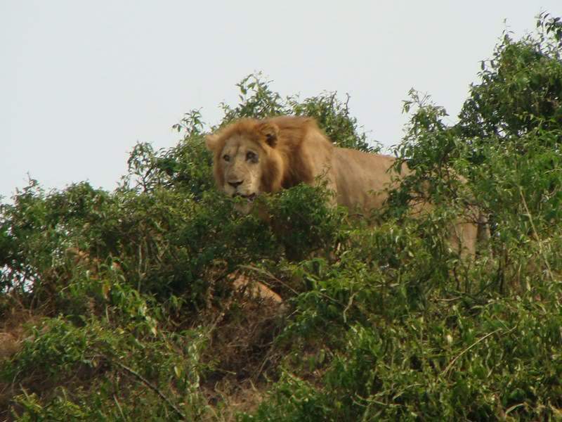 ai1080.photobucket.com_albums_j334_jnunes1977_Uganda_20__20Dia_208_ugandas852800x600.jpg