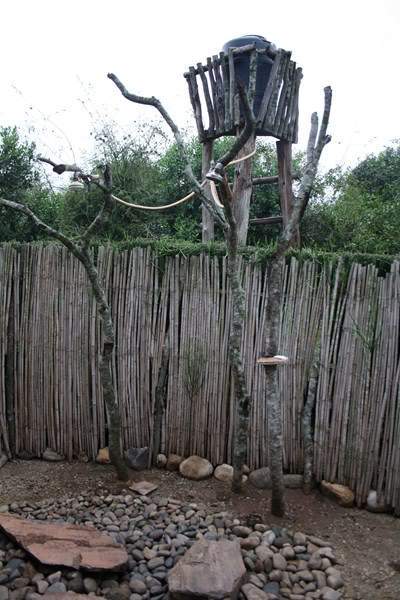 ai1080.photobucket.com_albums_j334_jnunes1977_Uganda_20__20Dia_209_uganda2461800x600.jpg