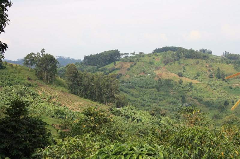 ai1080.photobucket.com_albums_j334_jnunes1977_uganda__20Dia_205_uganda1034800x600.jpg