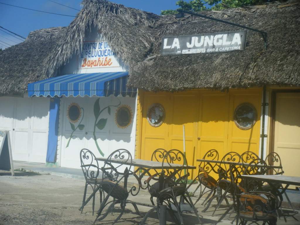 ai1081.photobucket.com_albums_j354_miazita_PuntaCana2011160.jpg
