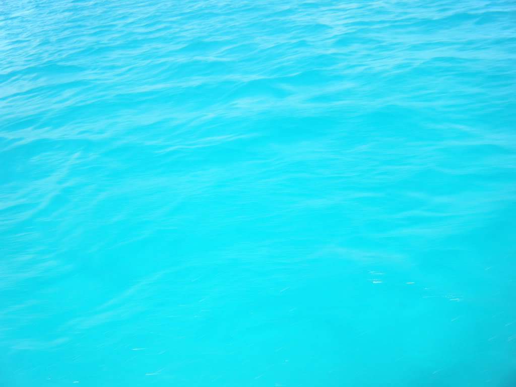 ai1081.photobucket.com_albums_j354_miazita_PuntaCana2011180.jpg