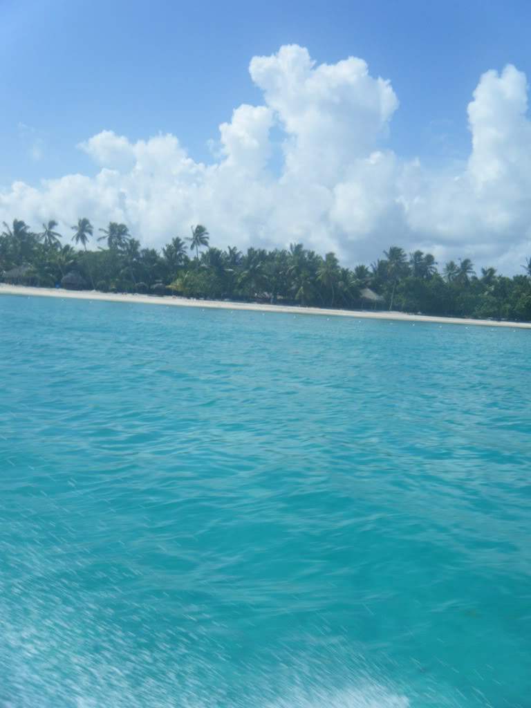 ai1081.photobucket.com_albums_j354_miazita_PuntaCana2011190.jpg