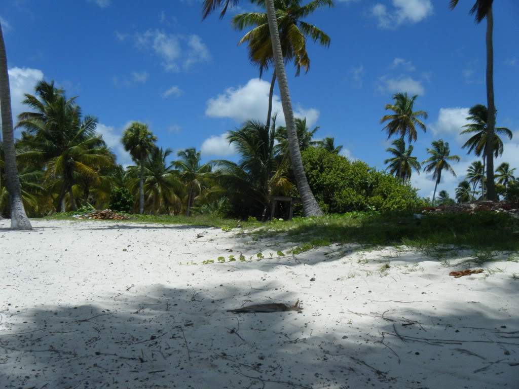 ai1081.photobucket.com_albums_j354_miazita_PuntaCana2011255.jpg