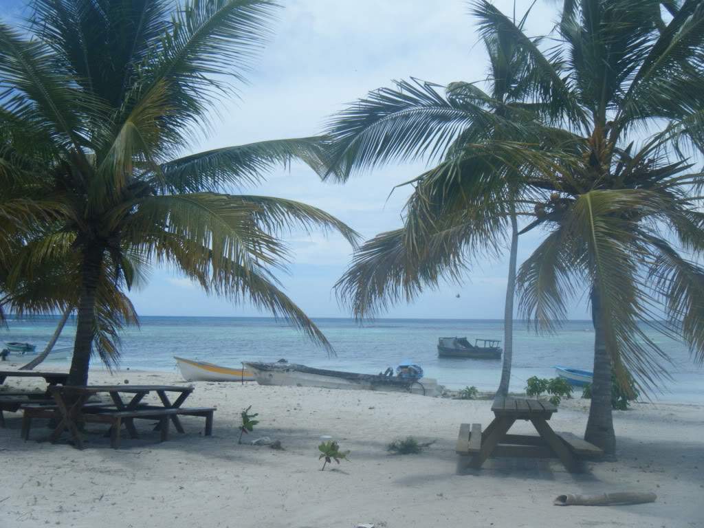 ai1081.photobucket.com_albums_j354_miazita_PuntaCana2011272.jpg