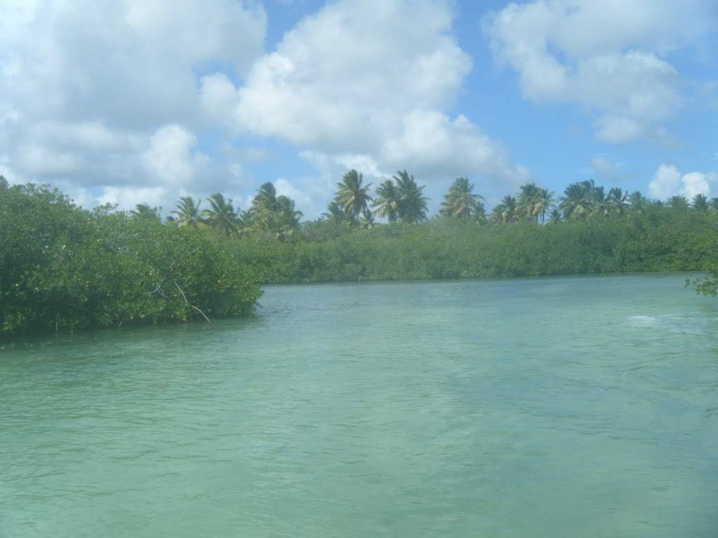 ai1081.photobucket.com_albums_j354_miazita_PuntaCana2011313.jpg