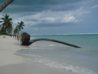 ai1109.photobucket.com_albums_h434_SandrinhaP_P9180098.jpg