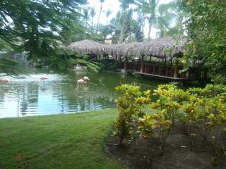 ai1109.photobucket.com_albums_h434_SandrinhaP_P9190120.jpg
