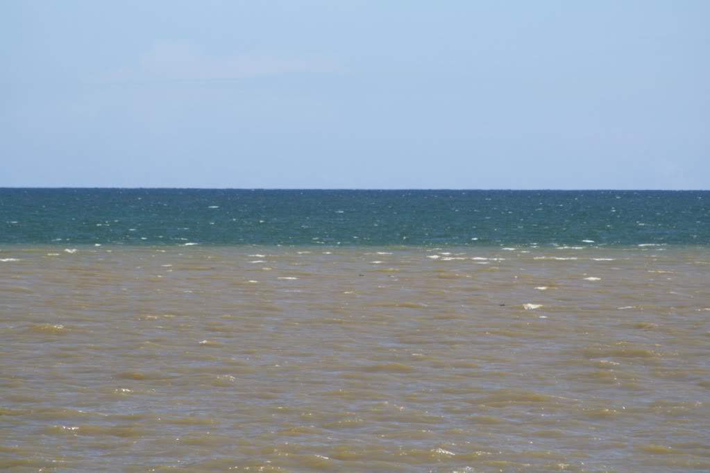 ai1110.photobucket.com_albums_h445_anjo_raiodesol_IMG_5008.jpg