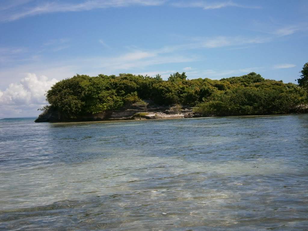 ai1110.photobucket.com_albums_h445_anjo_raiodesol_P9300050.jpg