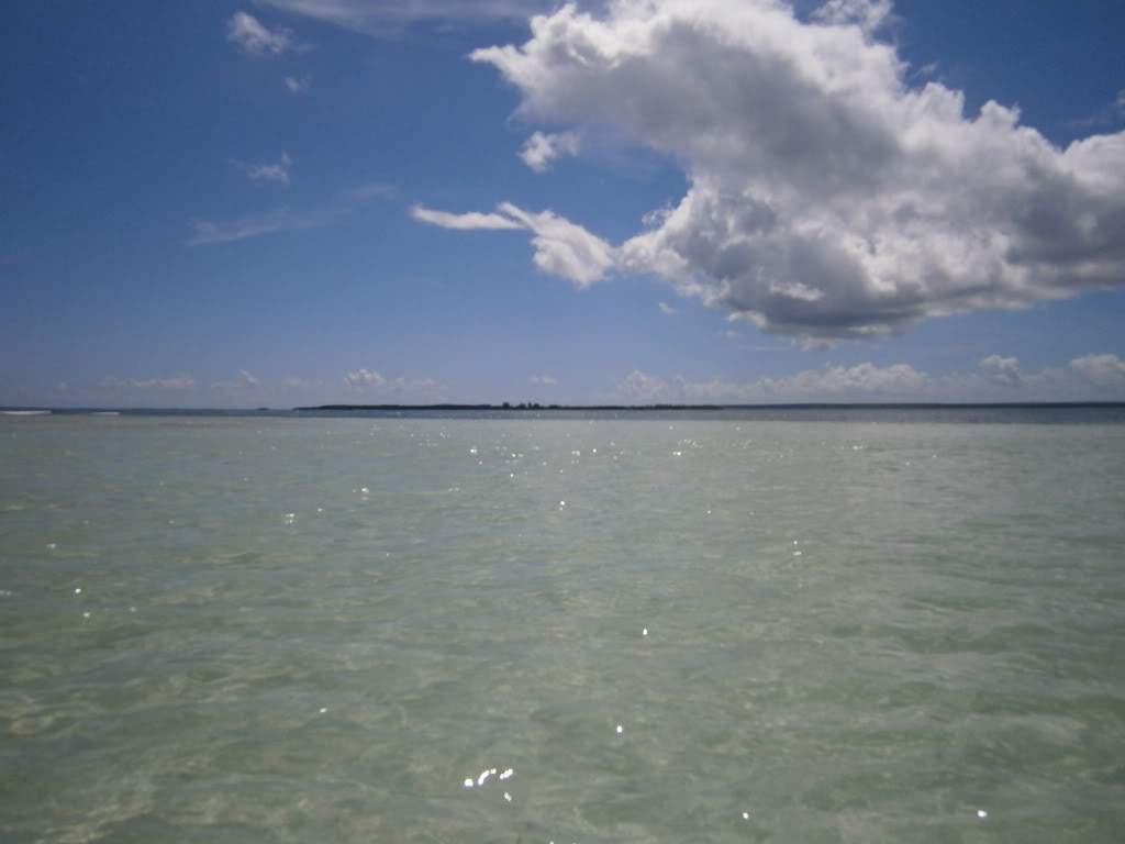 ai1110.photobucket.com_albums_h445_anjo_raiodesol_P9300069.jpg