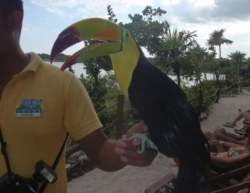 ai1124.photobucket.com_albums_l565_daniled_mexico_14.jpg