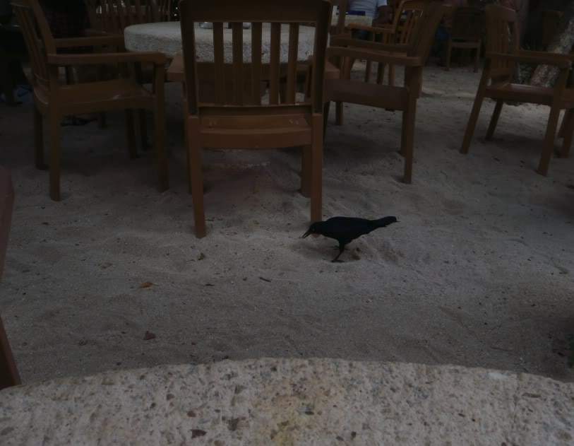 ai1124.photobucket.com_albums_l565_daniled_mexico_15.jpg