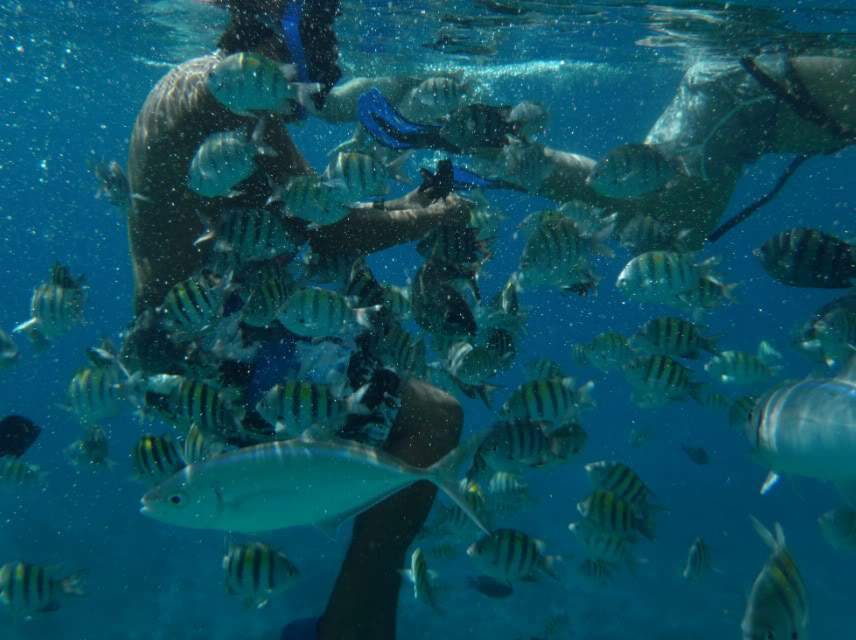 ai1124.photobucket.com_albums_l565_daniled_mexico_50.jpg
