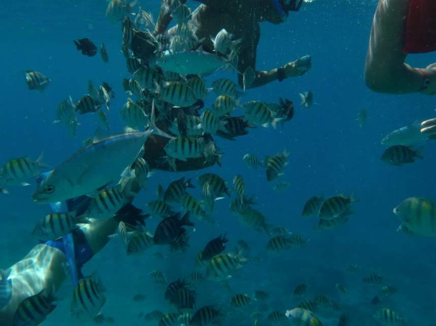 ai1124.photobucket.com_albums_l565_daniled_mexico_51.jpg
