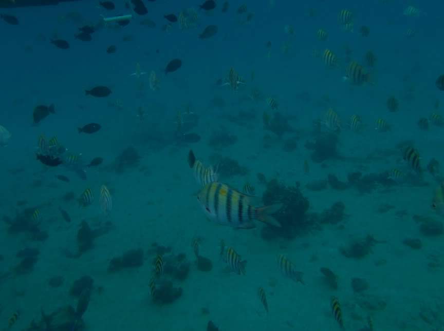 ai1124.photobucket.com_albums_l565_daniled_mexico_52.jpg