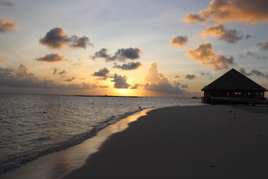 ai1131.photobucket.com_albums_m547_gmsmartins_IMG_2045.jpg