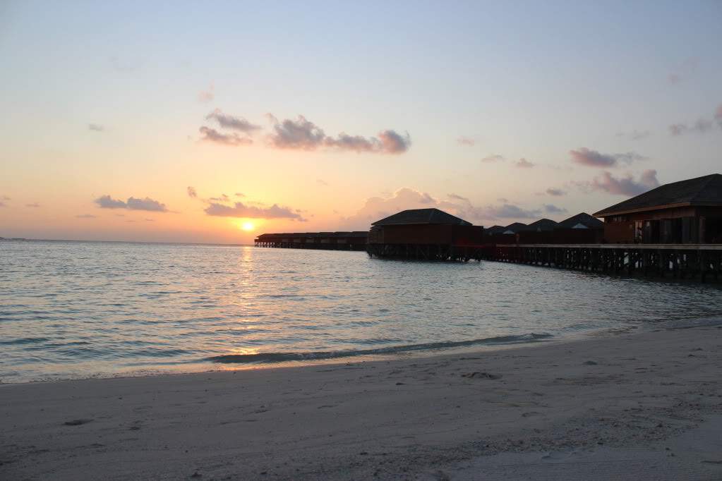 ai1131.photobucket.com_albums_m547_gmsmartins_IMG_2937.jpg