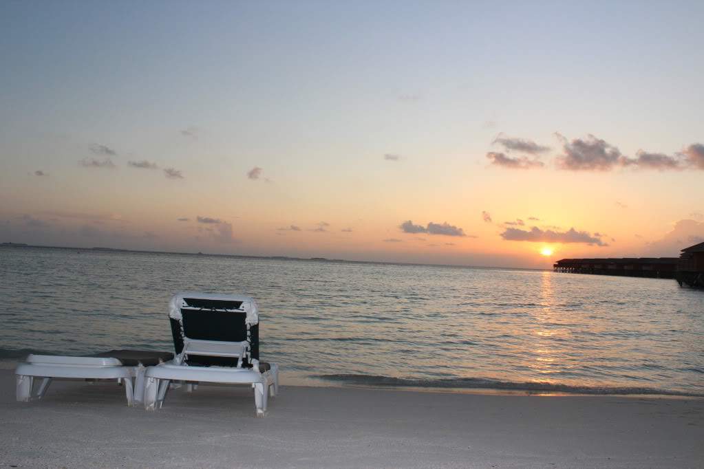 ai1131.photobucket.com_albums_m547_gmsmartins_IMG_2940.jpg