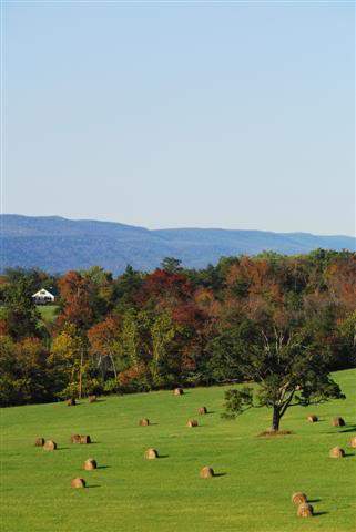ai1158.photobucket.com_albums_p608_nando1143_DSC_0247Small.jpg