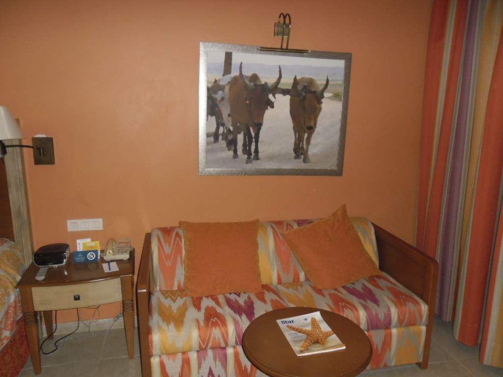 ai1164.photobucket.com_albums_q562_telmadias84_SAM_1405_zps166f21d0.jpg