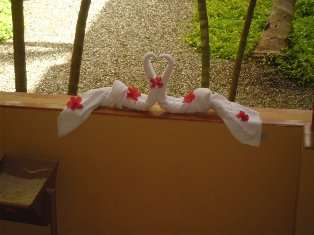 ai1164.photobucket.com_albums_q562_telmadias84_SAM_1409_zps82e522b2.jpg
