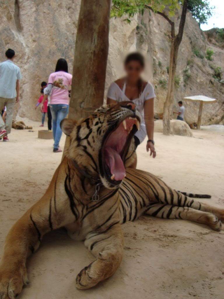 ai1165.photobucket.com_albums_q594_ninoenina_DSC050911280x768.jpg