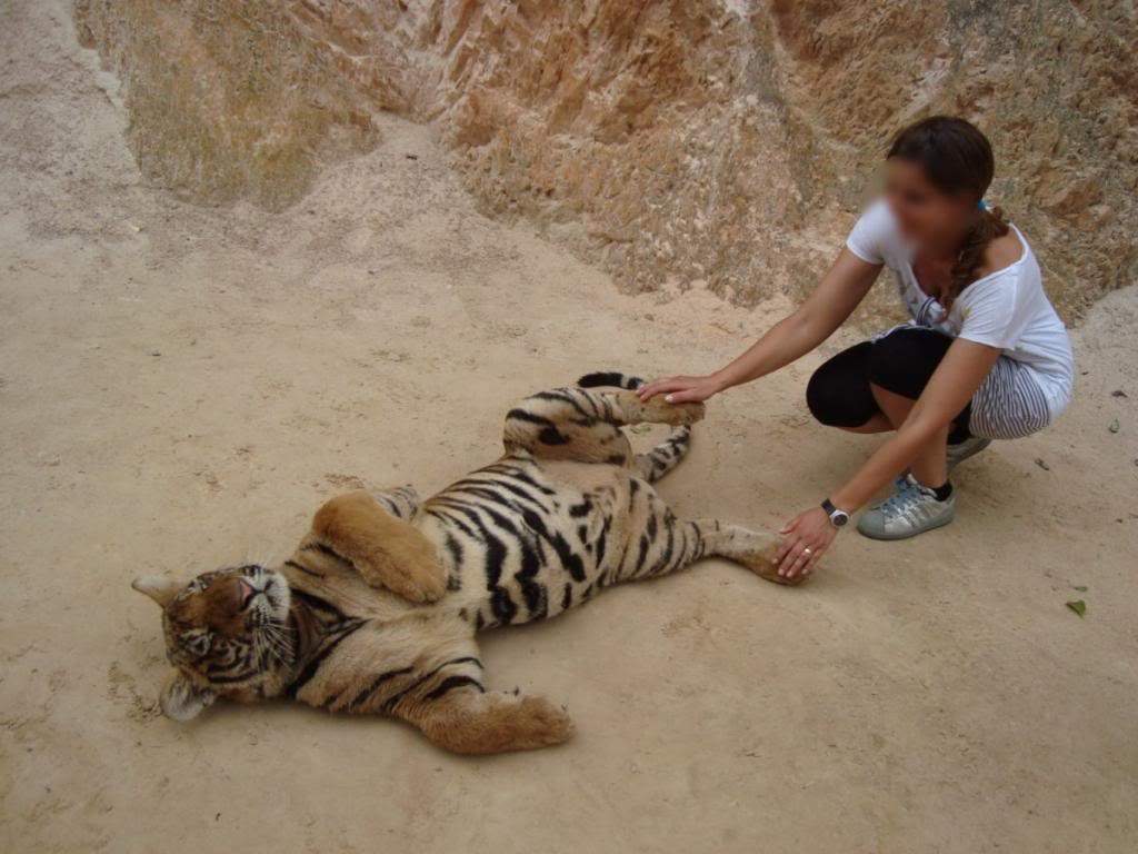 ai1165.photobucket.com_albums_q594_ninoenina_DSC051001280x768.jpg