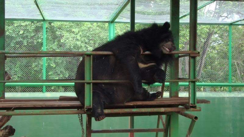 ai1165.photobucket.com_albums_q594_ninoenina_DSC051321280x768.jpg