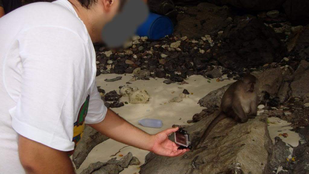 ai1165.photobucket.com_albums_q594_ninoenina_DSC052861280x768.jpg