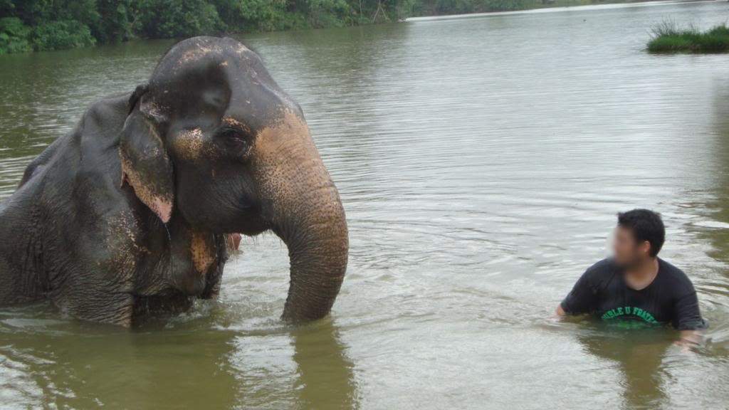 ai1165.photobucket.com_albums_q594_ninoenina_DSC058031024x768.jpg
