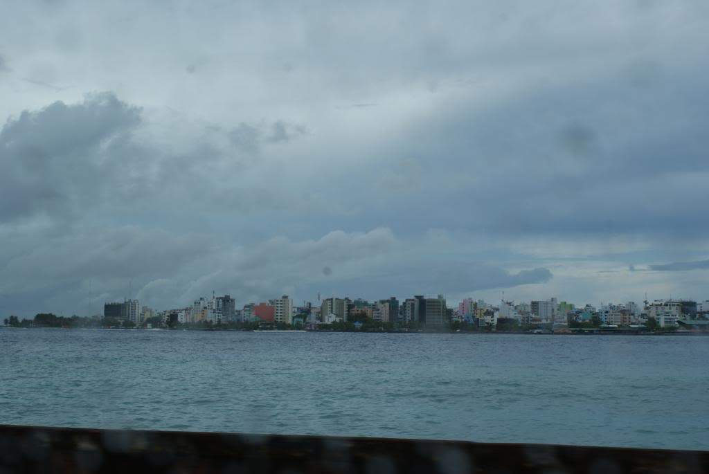 ai1168.photobucket.com_albums_r484_luisantunes29_DSC02463.jpg