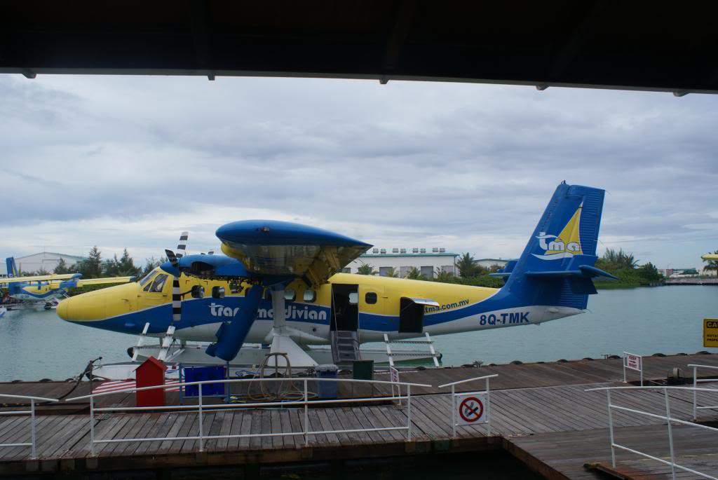 ai1168.photobucket.com_albums_r484_luisantunes29_DSC02469.jpg