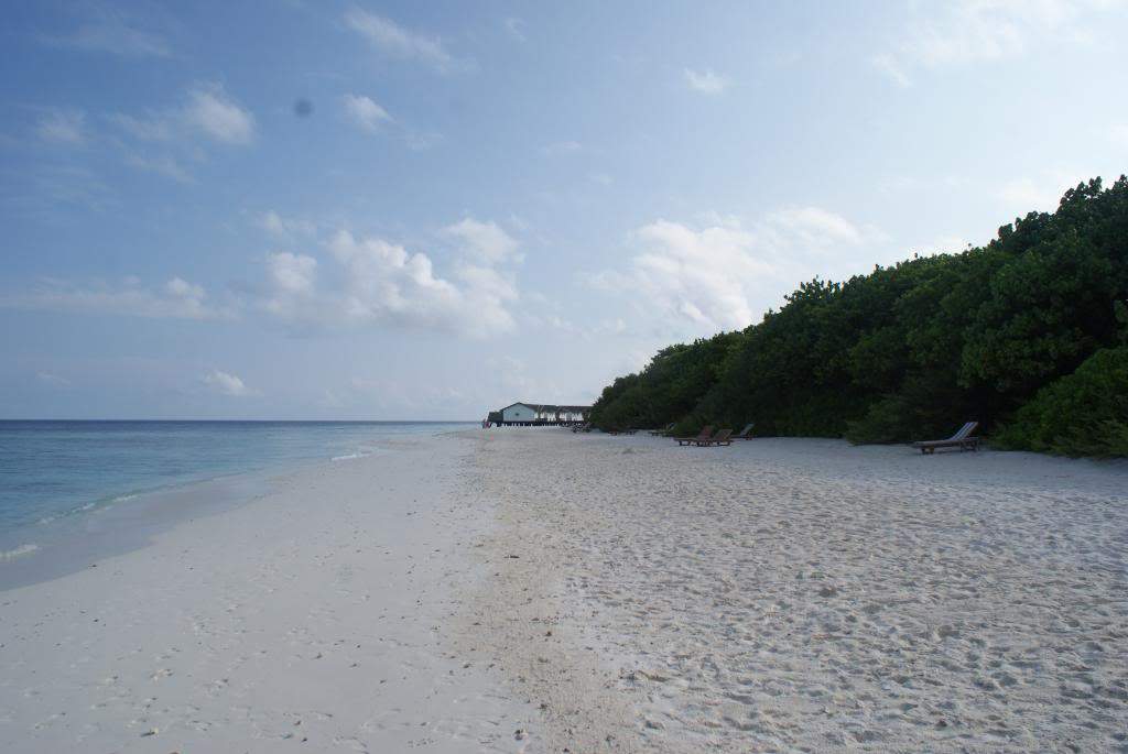 ai1168.photobucket.com_albums_r484_luisantunes29_DSC02645.jpg