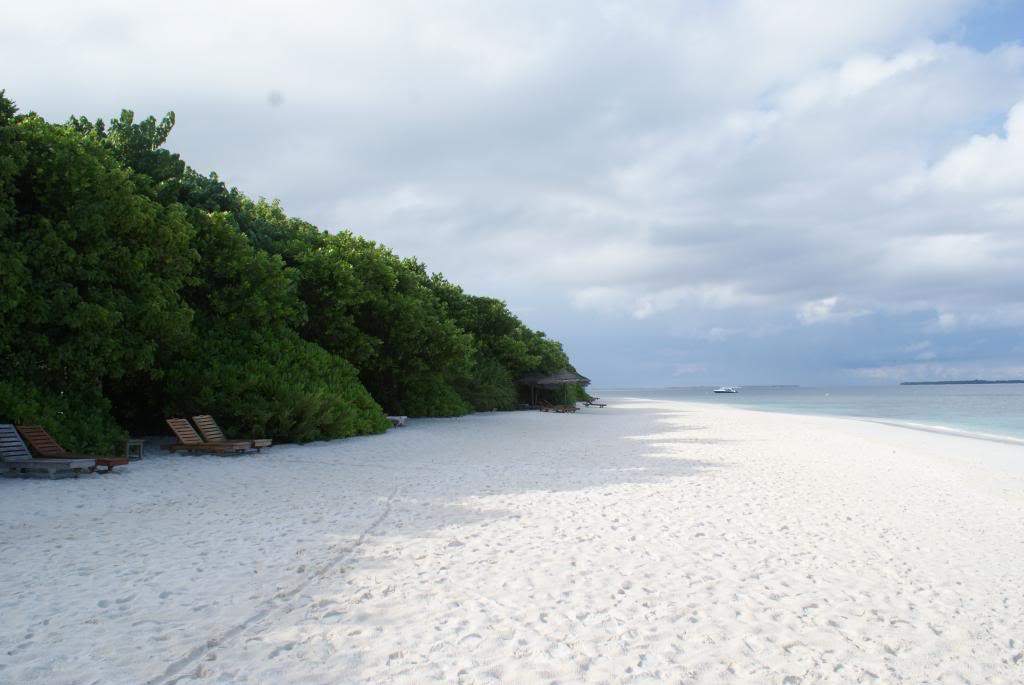 ai1168.photobucket.com_albums_r484_luisantunes29_DSC02653.jpg