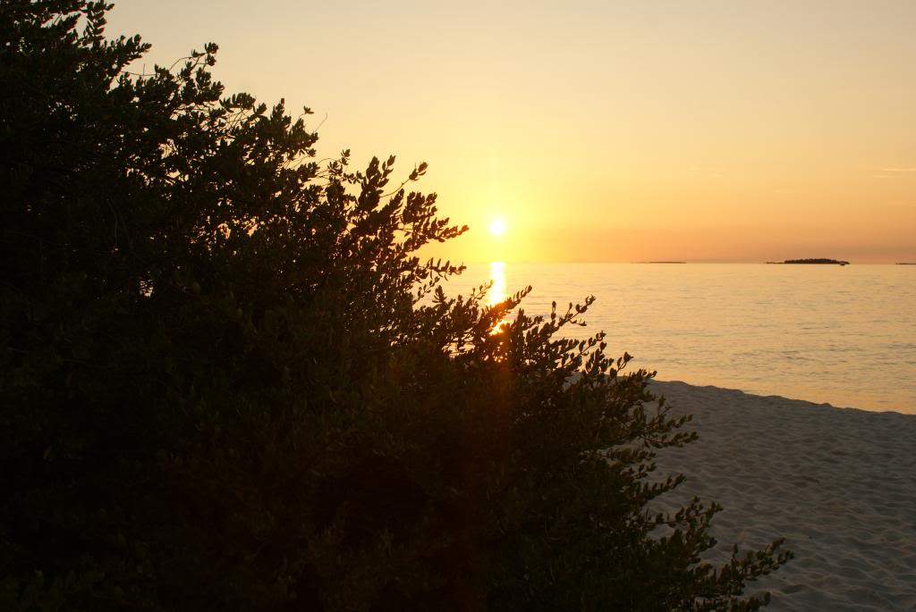 ai1168.photobucket.com_albums_r484_luisantunes29_DSC02759.jpg