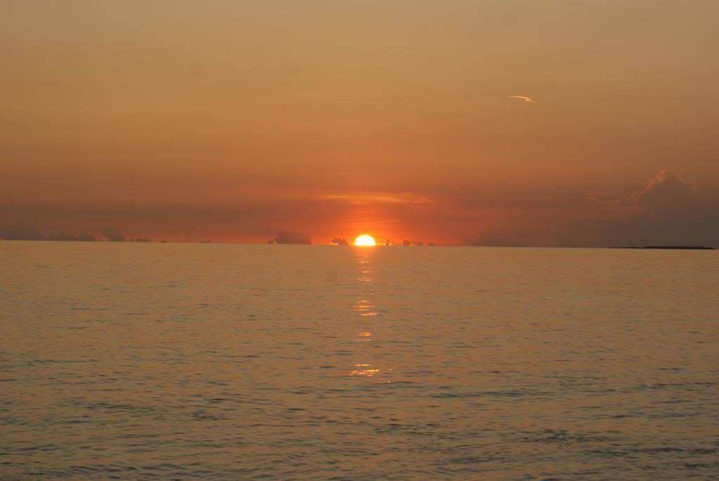 ai1168.photobucket.com_albums_r484_luisantunes29_DSC02792.jpg
