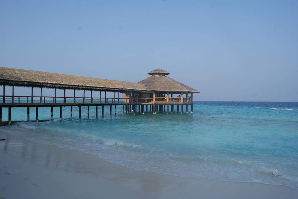 ai1168.photobucket.com_albums_r484_luisantunes29_DSC02894.jpg