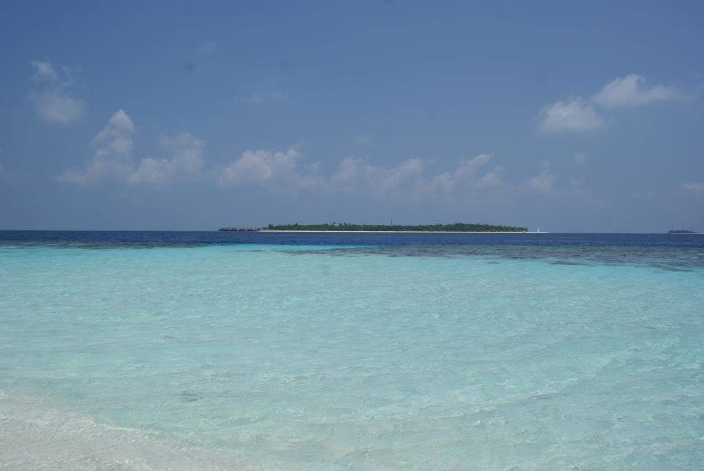 ai1168.photobucket.com_albums_r484_luisantunes29_DSC02984.jpg