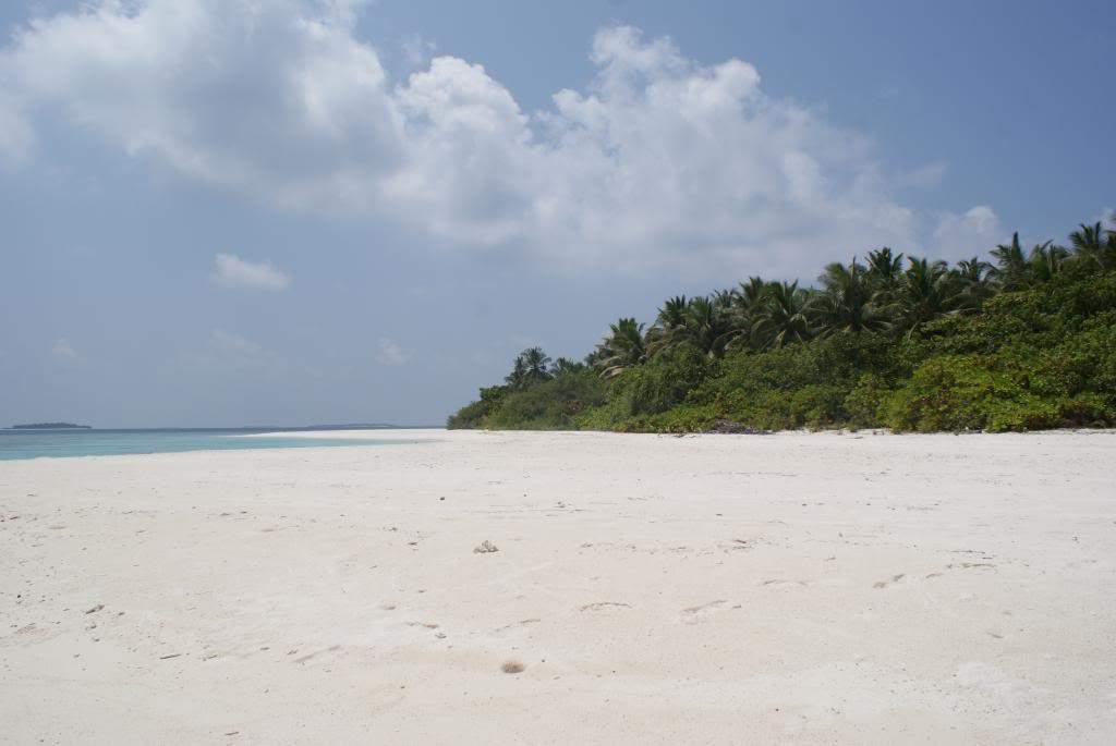 ai1168.photobucket.com_albums_r484_luisantunes29_DSC02986.jpg
