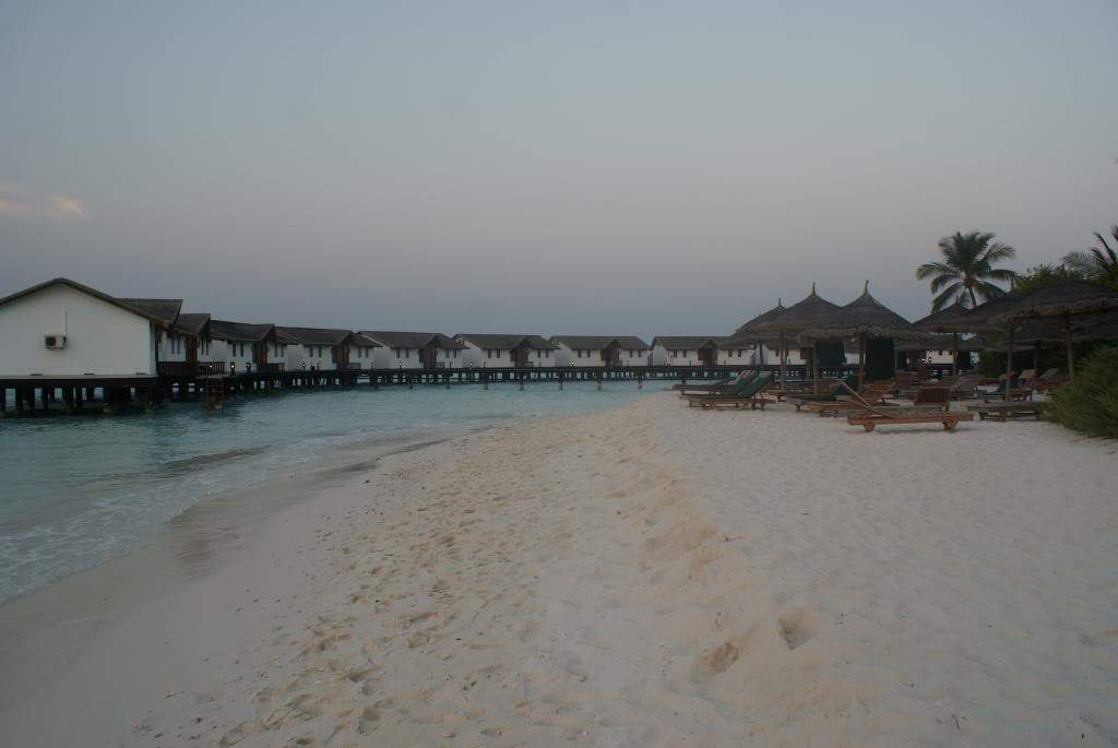 ai1168.photobucket.com_albums_r484_luisantunes29_DSC03128.jpg