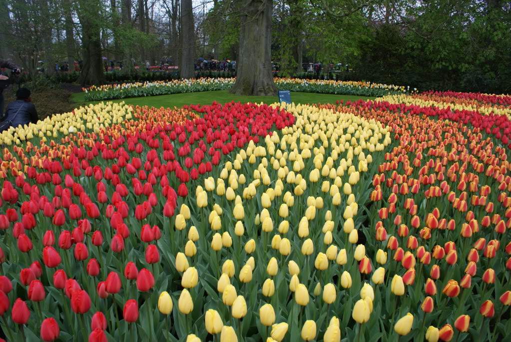 ai1168.photobucket.com_albums_r484_luisantunes29_DSC07648.jpg
