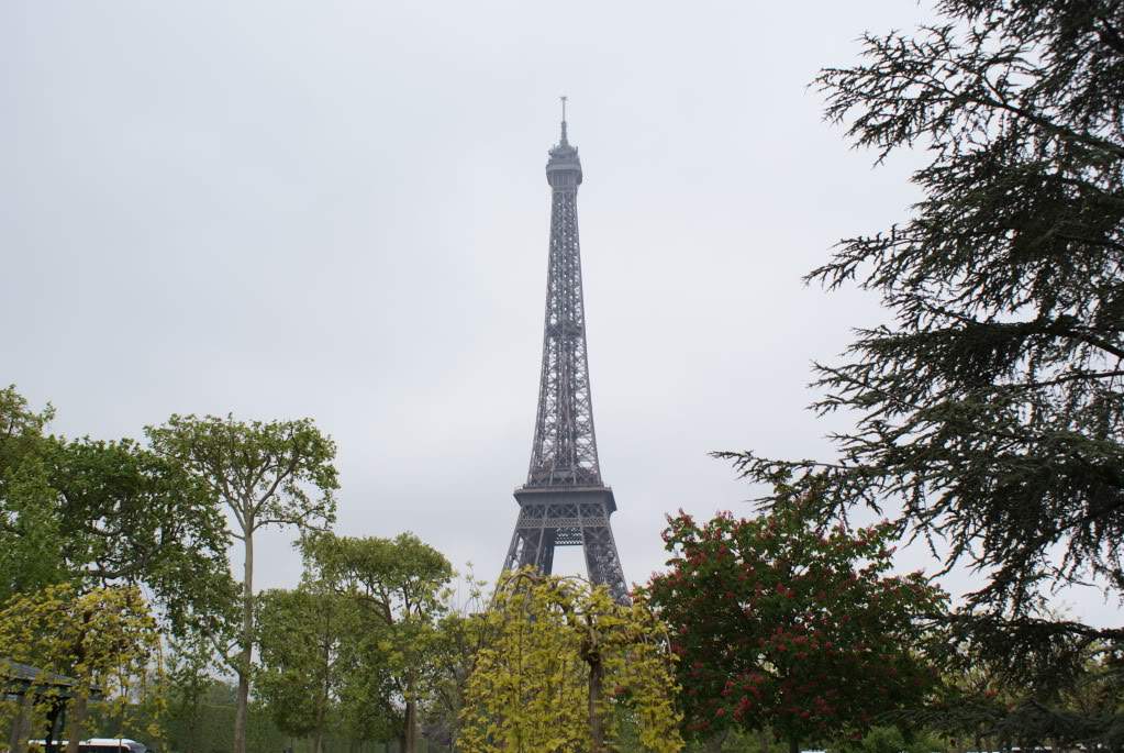 ai1168.photobucket.com_albums_r484_luisantunes29_DSC09899.jpg