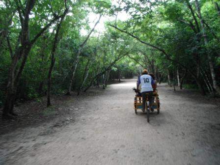 ai1169.photobucket.com_albums_r506_ANOBRE_2_cob02.jpg