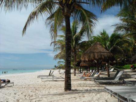 ai1169.photobucket.com_albums_r506_ANOBRE_2_DSCF5393.jpg